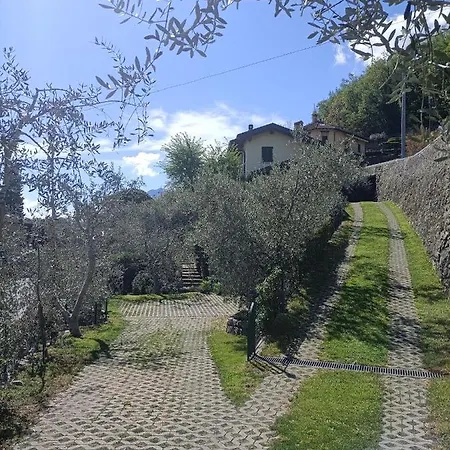 Casa Delle Olive 1 דירה *